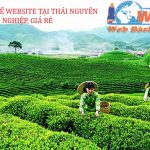 Thiết kế website tại Thái Nguyên chuyên nghiệp, giá rẻ