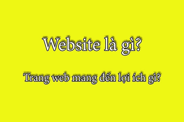 website là gì