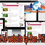 Thiết Kế Website Tại Huyện Đan Phượng Chuyên Nghiệp Giá Rẻ
