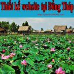 Thiết Kế Website Tại Đồng Tháp | Chuyên Nghiệp | Uy Tín