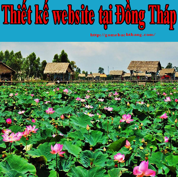 Thiết Kế Website Tại Đồng Tháp