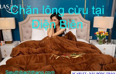 Chăn lông cừu tại điện biên