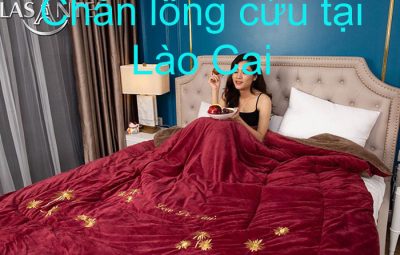 Chăn lông cừu tại lào cai
