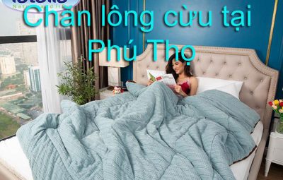 Chăn lông cừu tại phú thọ