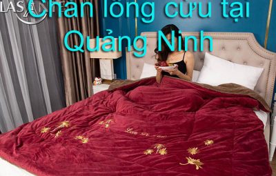 Chăn lông cừu tại quảng ninh