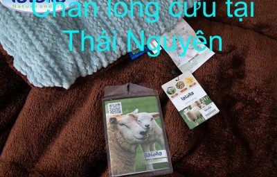Chăn lông cừu tại thái nguyên