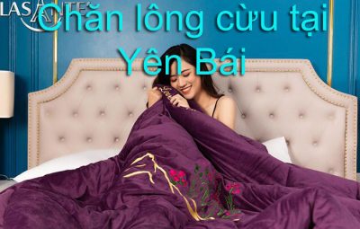 Chăn lông cừu tại yên bái