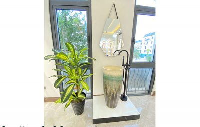 Thiết Bị Vệ Sinh Thông Minh