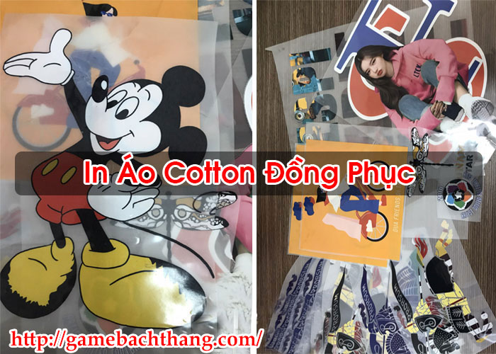 In Áo Cotton Đồng Phục