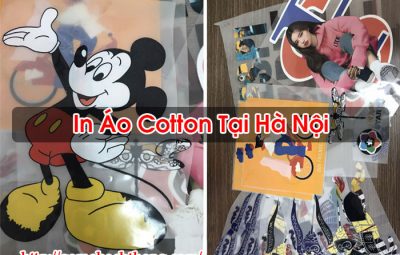 In Áo Cotton Tại Hà Nội