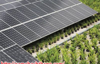 Hiện Đại Hóa Nông Nghiệp Với Điện Mặt Trời