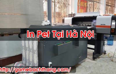 In Pet Tại Hà Nội Trên Vải