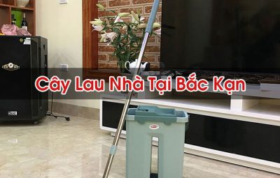 Cây Lau Nhà Tại Bắc Kạn