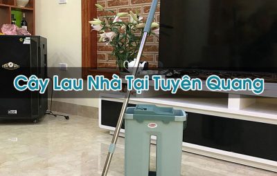 Cây Lau Nhà Tại Tuyên Quang