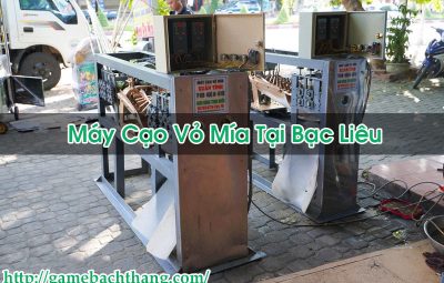 Máy Cạo Vỏ Mía Tại Bạc Liêu