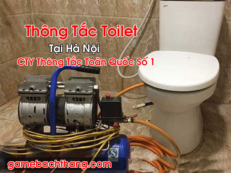 Thông Tắc Toilet Tại Hà Nội