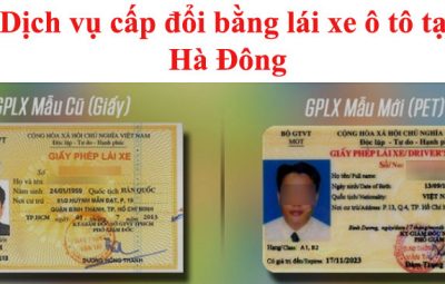 Cap Doi Bang Lai Xe Ho Dong