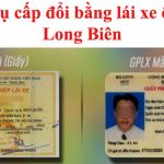 Dịch vụ cấp đổi bằng lái xe ô tô tại Long Biên uy tín và nhanh chóng